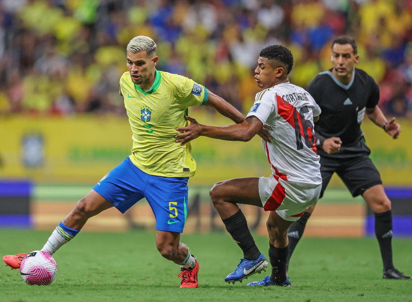 不应由国家 不应由国家