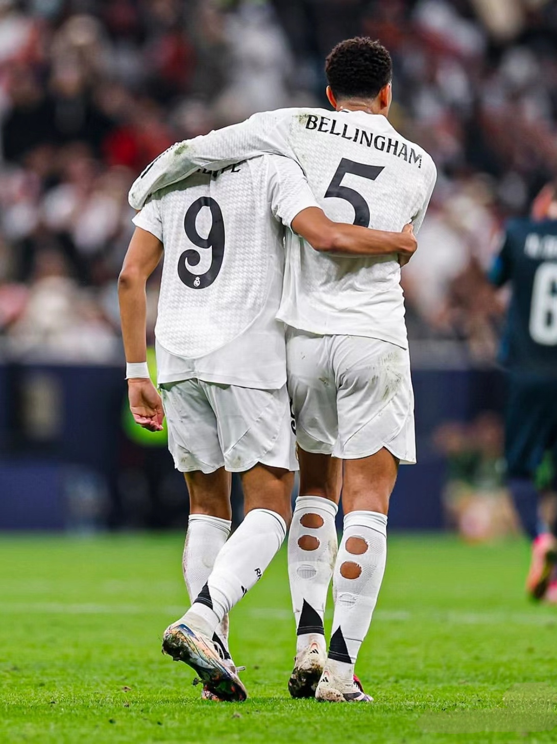 他们可以通 他们可以通