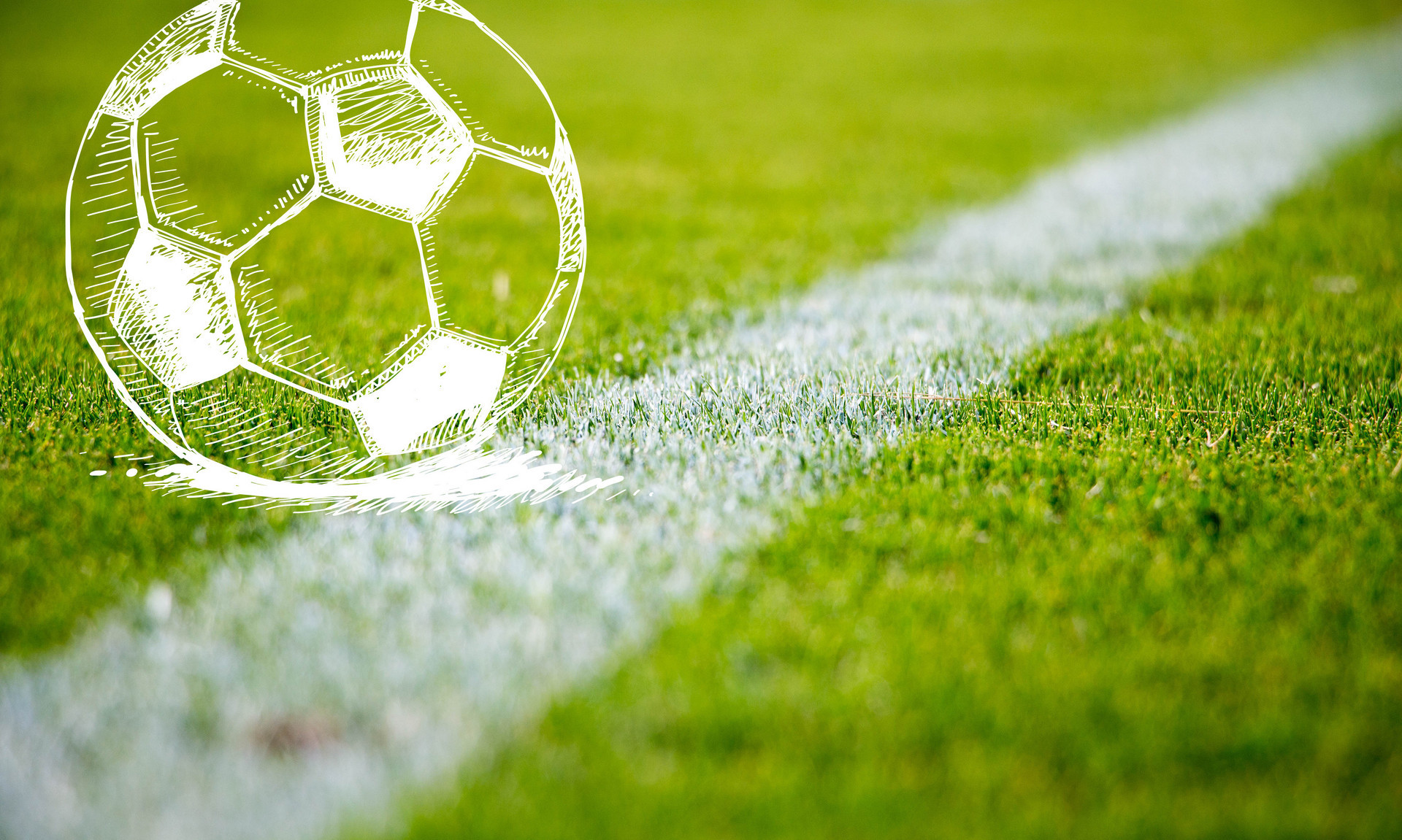 那个恢复完 那个恢复完