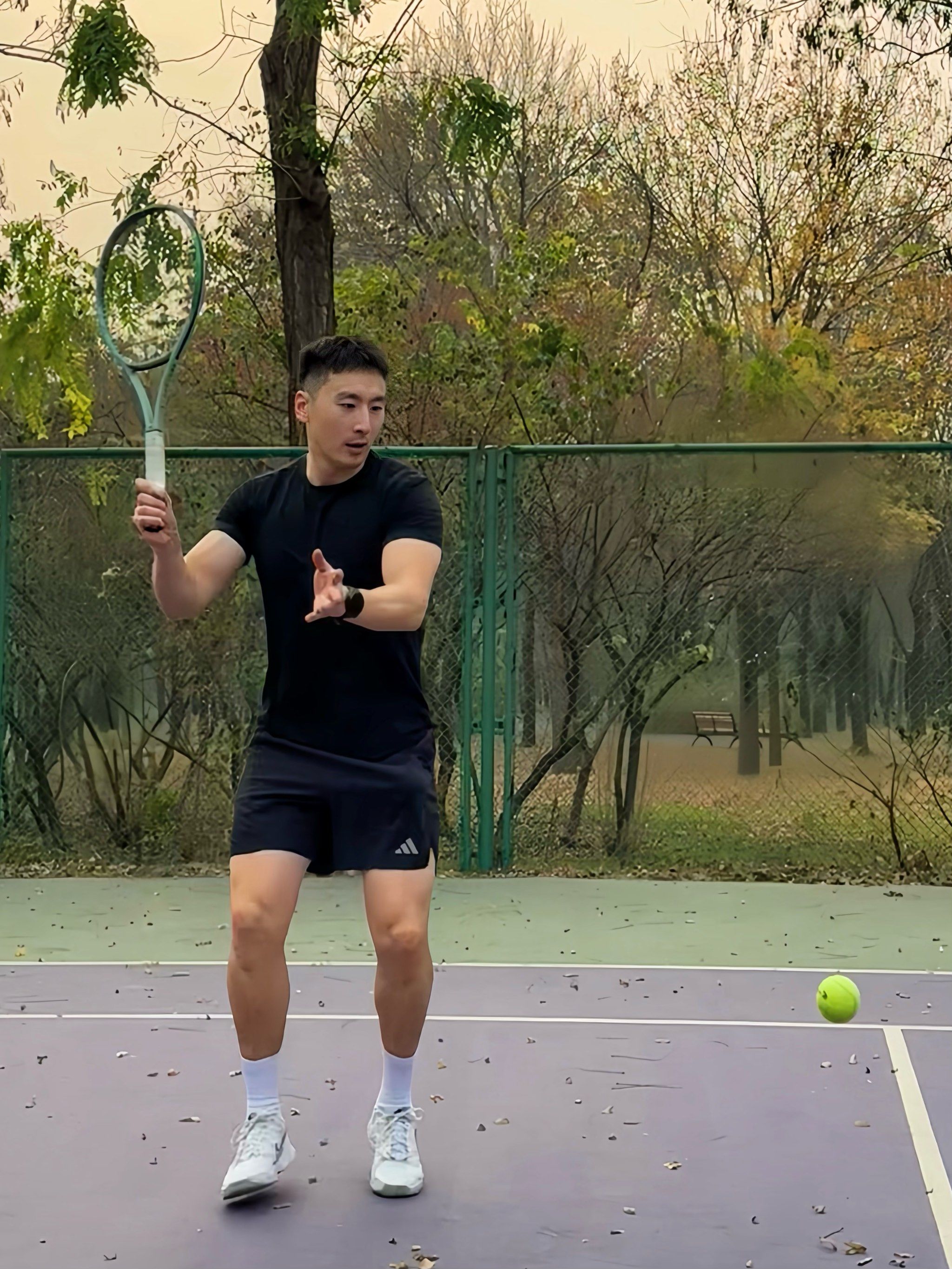 的情感纽带 的情感纽带