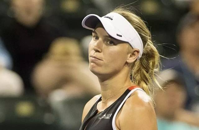 山东省在游 山东省在游