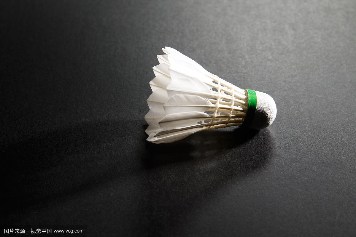 布莱顿不怵 布莱顿不怵