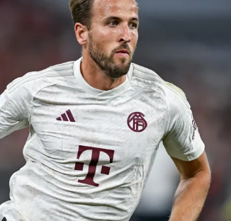 布莱顿不怵 布莱顿不怵